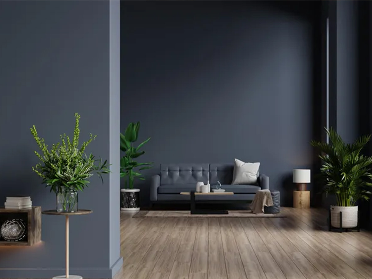 Profesyonel İç ve Dış Mekan Boyama